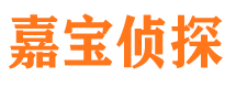 东至市侦探公司